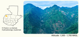 Guatemala Huehuetenango Los Dos Socios