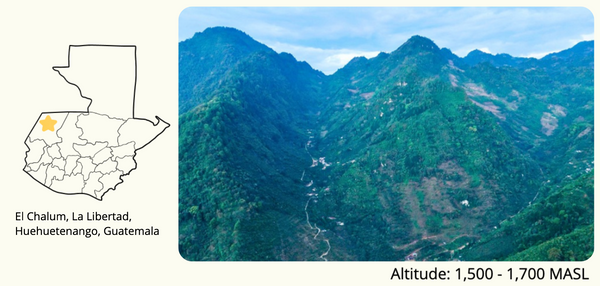 Guatemala Huehuetenango Los Dos Socios