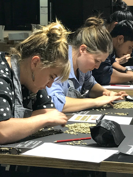 Q Arabica Combo Training and Exam Course Payment