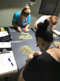 Q Cupping Essentials Course Payment