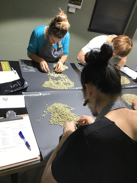 Q Arabica Combo Training and Exam Course Payment