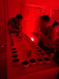 Q Arabica Grader Recertification Payment